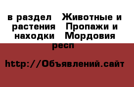  в раздел : Животные и растения » Пропажи и находки . Мордовия респ.